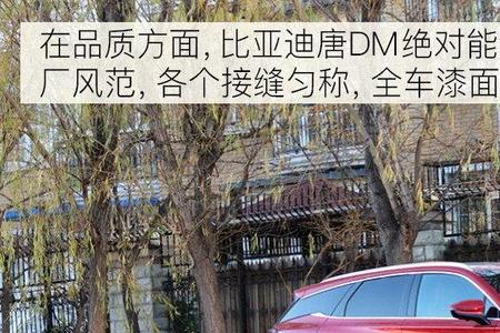 比亚迪宋与唐dm哪个好