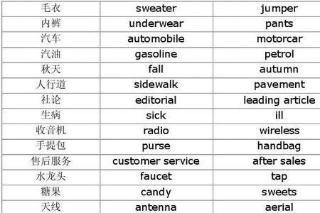 ant前面用什么冠词