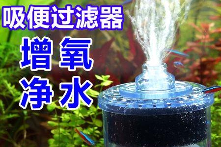 鱼缸过滤器可以用什么替代