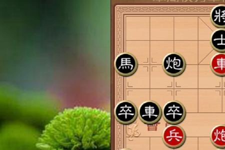 象棋保士还是保车