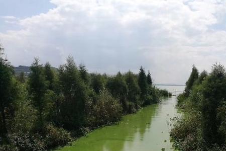 捞鱼河湿地公园几点关门