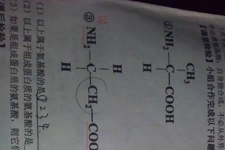 酶的结构通式