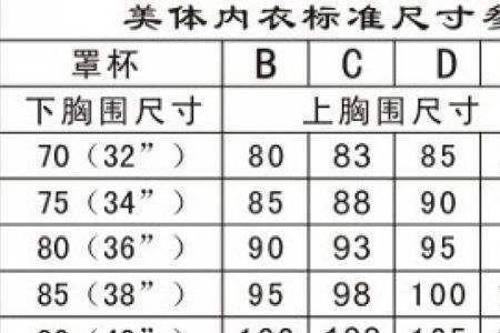 胸围36标准吗