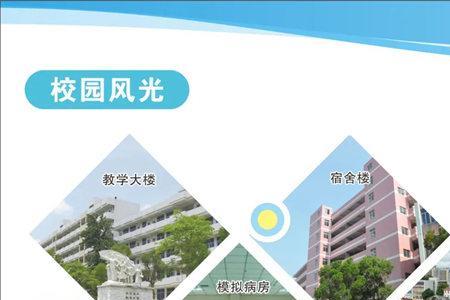 阳江卫生学校可以带手机吗