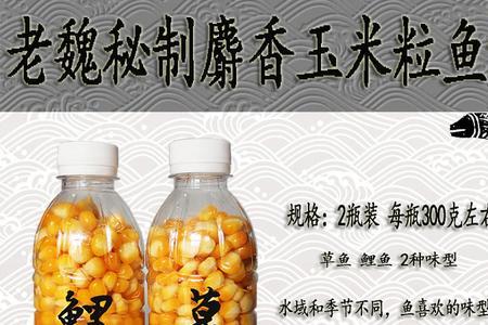 一条鲤鱼能吃多少玉米粒