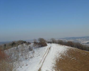 大顶山与长春距离多少