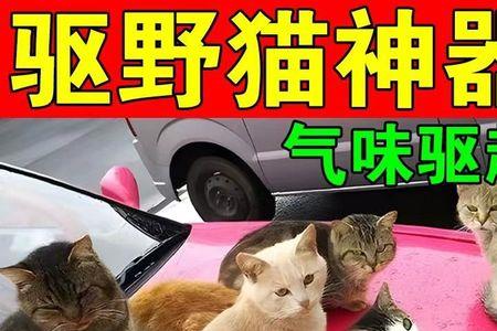 樟脑丸驱猫有用吗