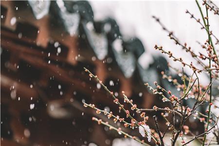 定亲那天下雪寓意着什么