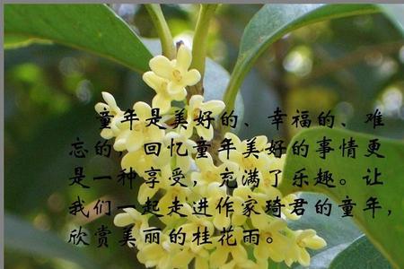 一年级介绍桂花课文