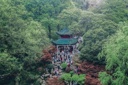 岳麓山跟南岳衡山比哪个好爬些