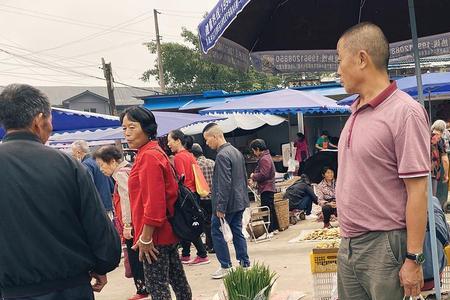 自贡蔬菜水果批发市场一览表