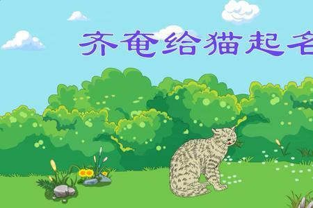 猫的名字寓言故事的道理