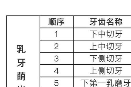 一岁宝宝扎牙顺序