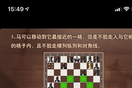 国际象棋可不可以用双管炮