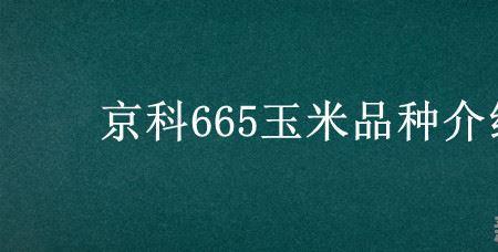 京科665玉米品种介绍及包装