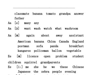 元音字母结尾的单词