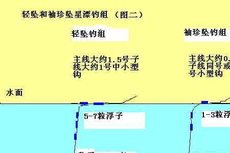 七星漂钓鱼为什么没有下顿口