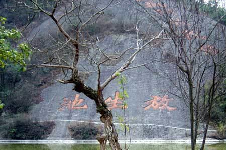 新昌大佛寺门票导游证免票吗