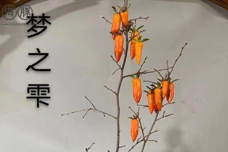 柿子树桩催芽方法