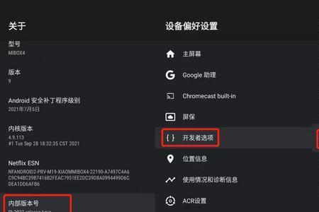 电视没有开发者模式