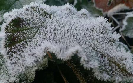 棉花银装素裹的素是什么意思