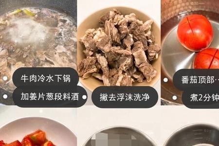 如何养蕃茄肉腩