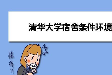 清华大学本科宿舍怎么分的