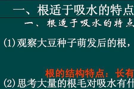 吸水效率最高的化学物质