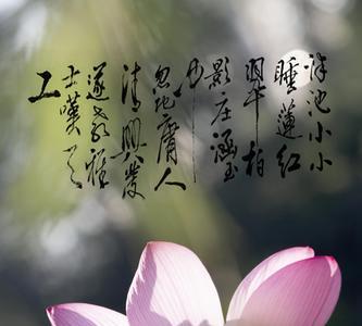 集芙蓉以为裳的裳是什么意思