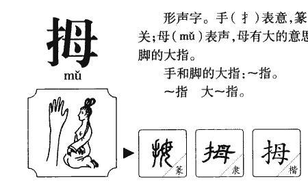 母字偏旁字成语