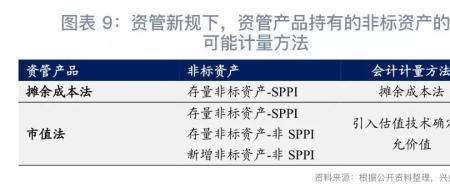 sppi会计准则全称