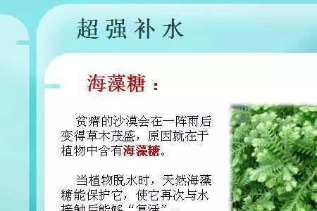 海藻钓鱼起什么作用