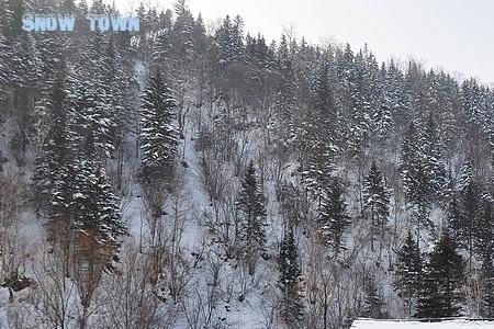 东北人的扛大山是什么意思