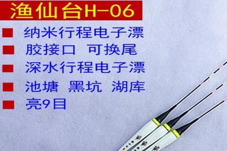 5米4竿能用16电子漂吗