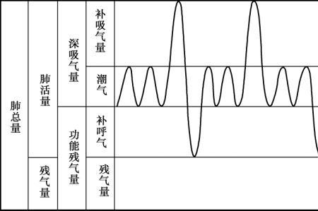 什么是残气容积测定