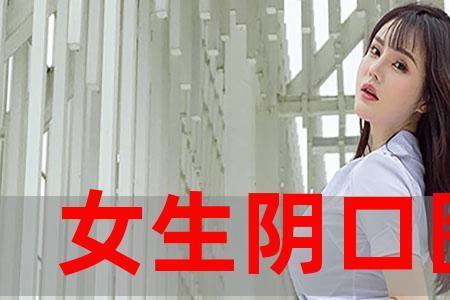 送你送到小村口女声完整版