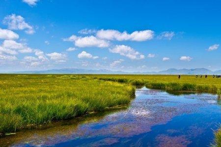 世界湿地面积排名前十