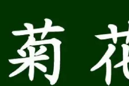 菊花的菊怎么组词两个字