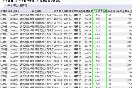 社保的前置是什么意思