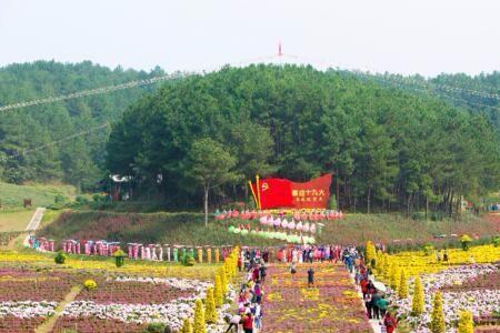 麻城五脑山丰收节要不要门票