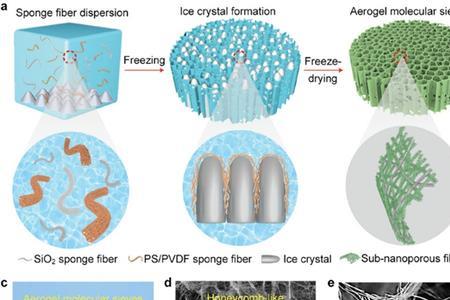 胶体能通过分子筛吗