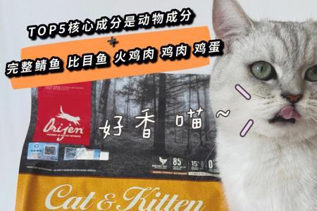 渴望猫粮被收购了吗