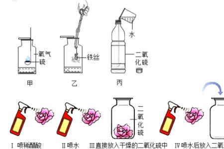 为什么二氧化硫溶于水会倒吸