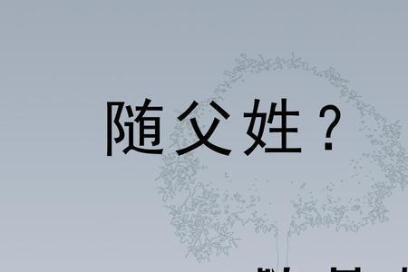 如何介绍自己姓氏