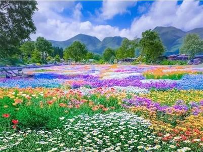 繁花似锦遍地芬芳什么意思