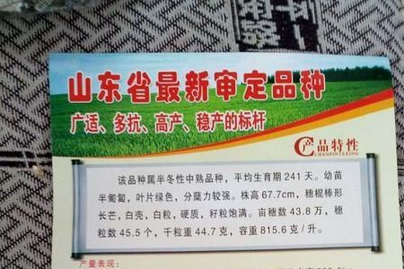 金钻九号小麦种子和石新633哪个好