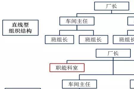 最早的和最简单的组织形式是