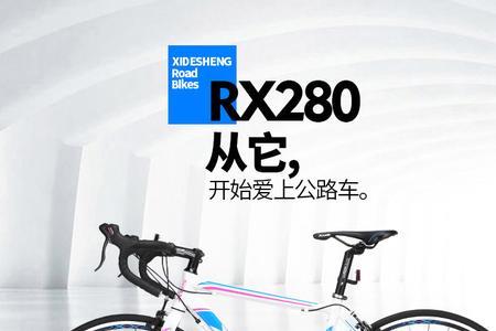 喜德盛rx280和rc300哪个好