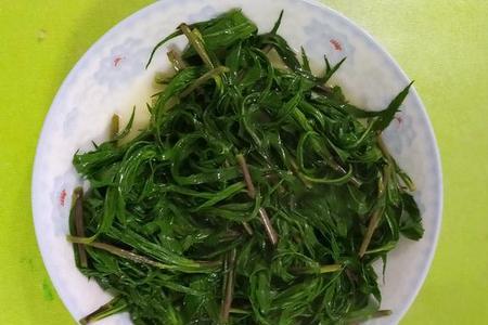 蒿苔是野菜吗