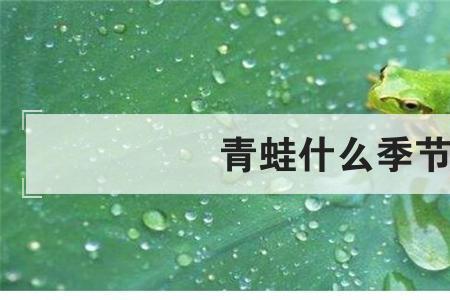 青蛙什么季节叫